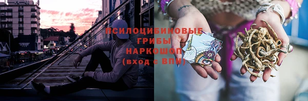 стаф Нягань