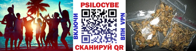 Галлюциногенные грибы MAGIC MUSHROOMS  сколько стоит  Лянтор 