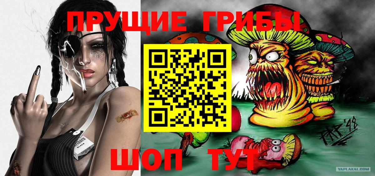 Лянтор  Галлюциногенные грибы мицелий  Псилоцибиновые грибы прущие грибы  Вход с VPN 